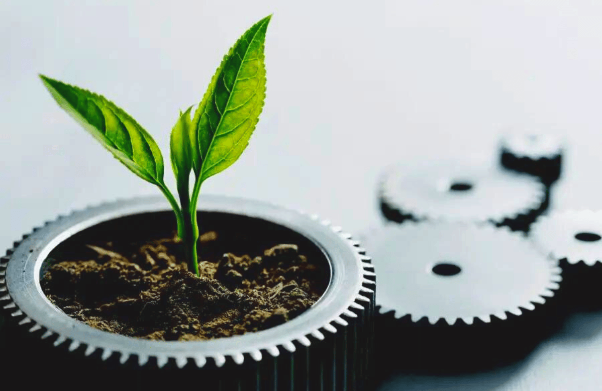 Developing Carbon Credit Markets for Traditional Row Crops